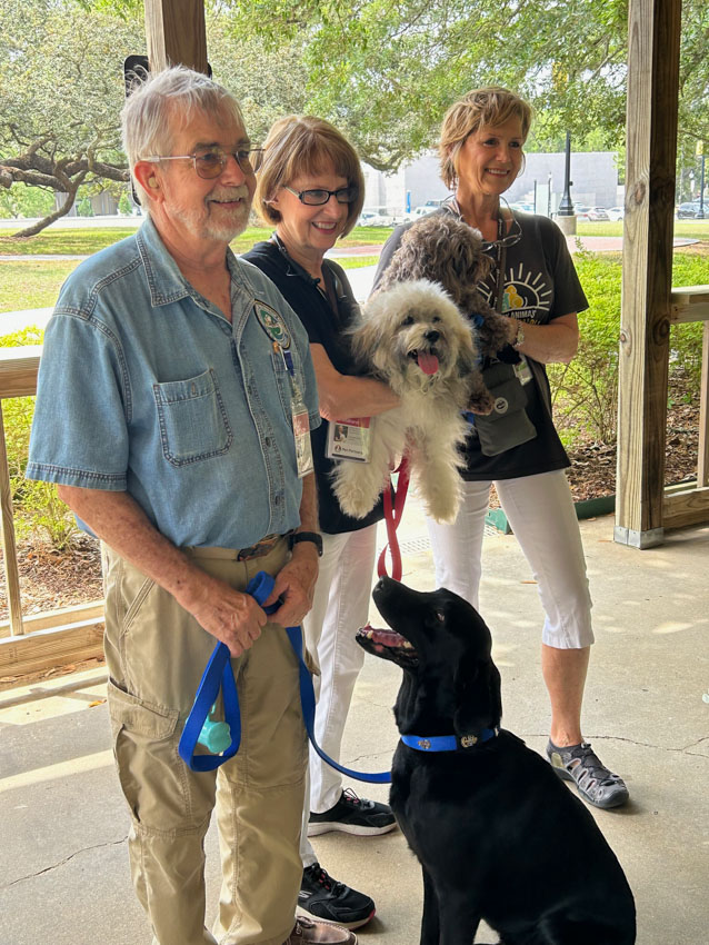 This Dogs thing—silent for three seconds. Some actually love dogs, some just want clout. Real test isn't the photos, it's whether you still walk the dog during exam week. You Team Love or Team Clout? - 图片1