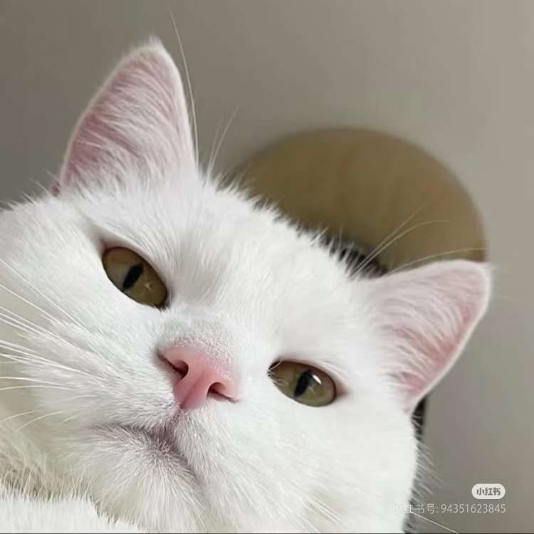 分享图片 - 图片1